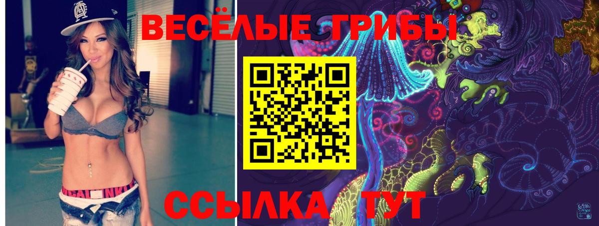 Псилоцибиновые грибы мухоморы  Вход с VPN  Зеленогорск  Псилоцибиновые грибы MAGIC MUSHROOMS 
