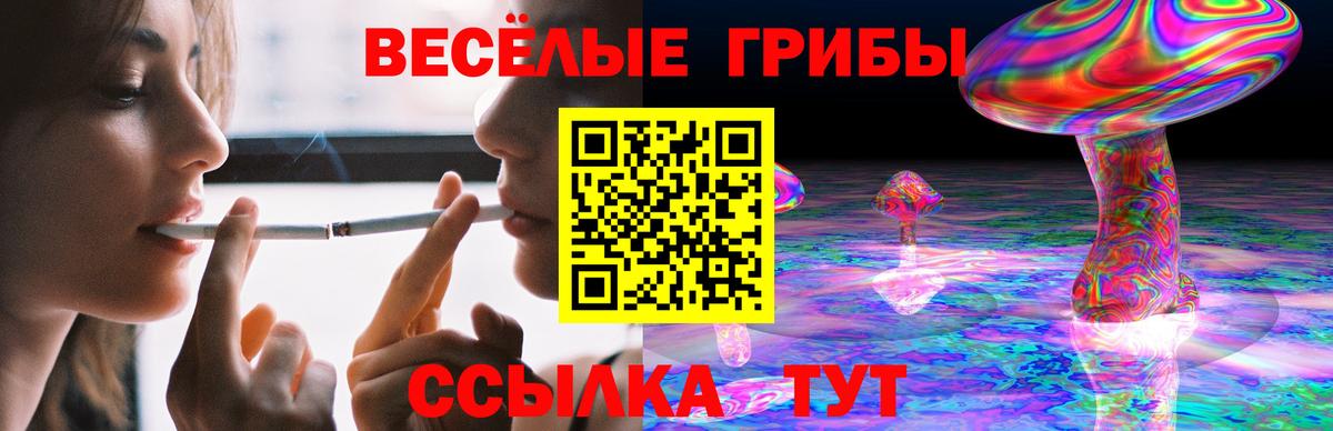 Псилоцибиновые грибы прущие грибы Зеленогорск